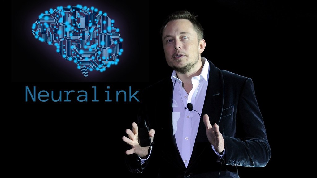 Elon Musk aurait menti sur les causes de la mort des singes utilisés pour tester l'implant cérébral de Neuralink