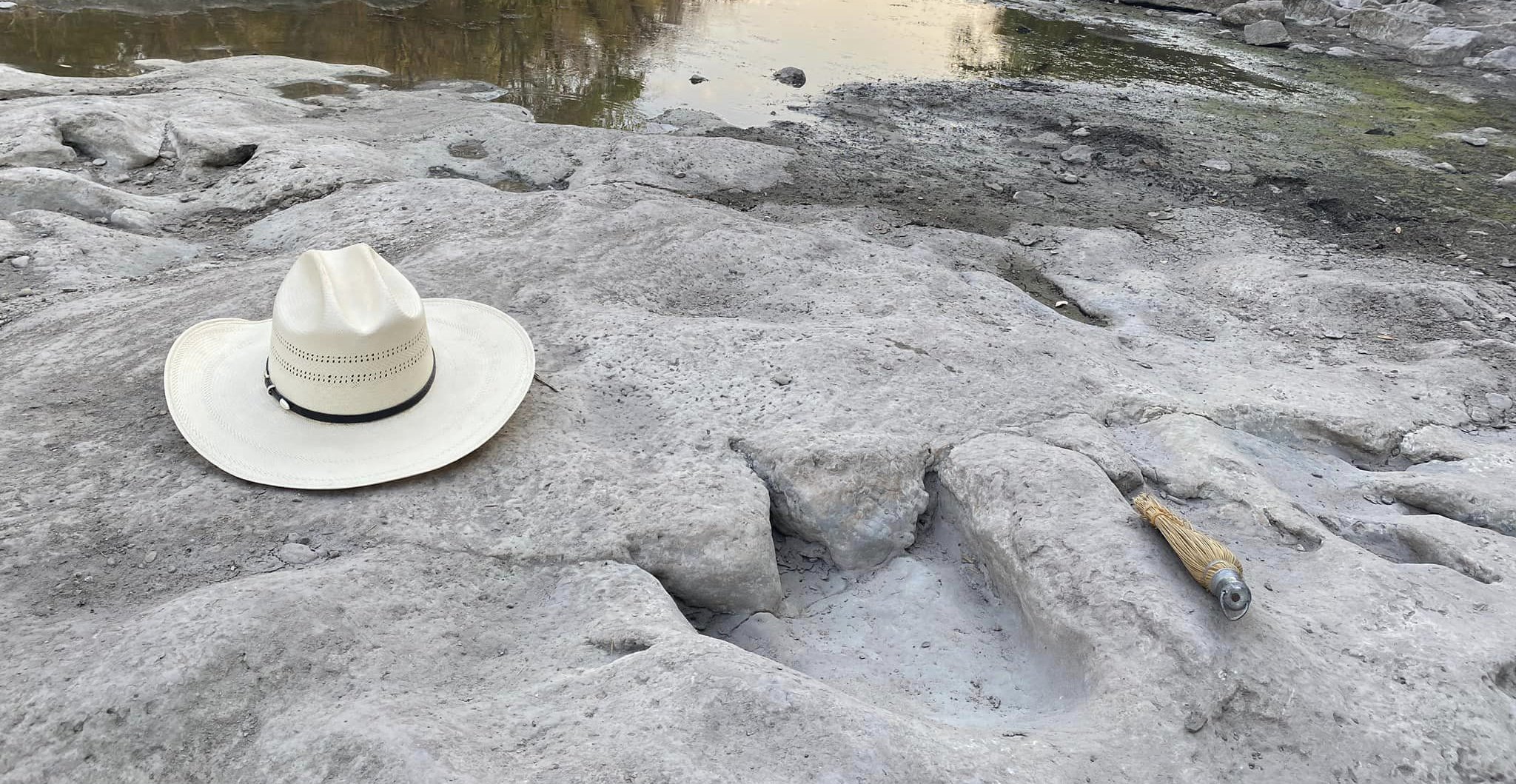 La plus longue piste d'empreintes de dinosaures au monde a été découverte au Texas