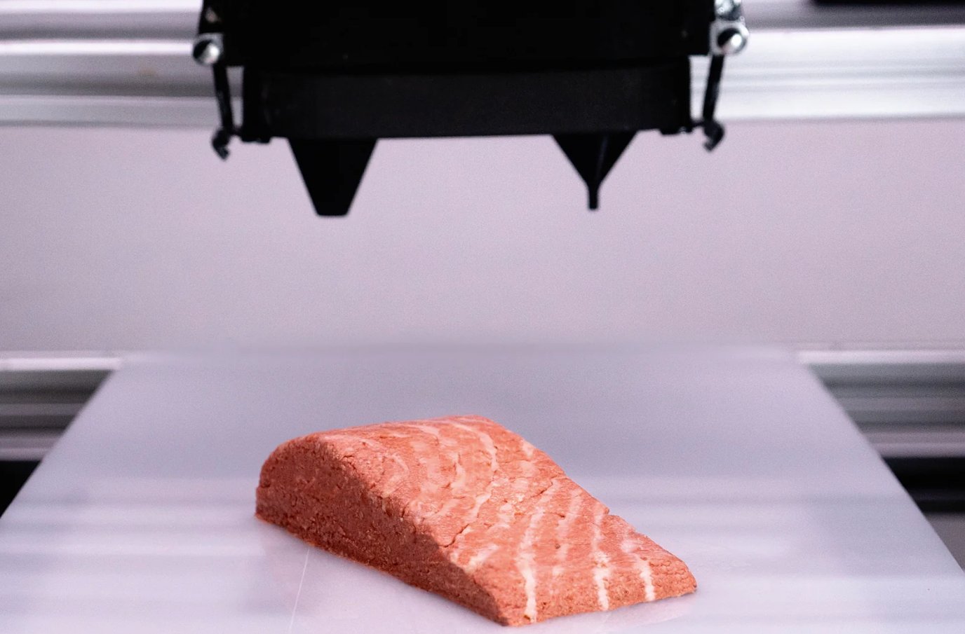 Une start-up autrichienne crée un pavé de saumon... sans saumon #2