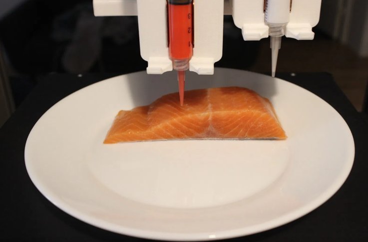 Une start-up autrichienne crée un pavé de saumon... sans saumon #5
