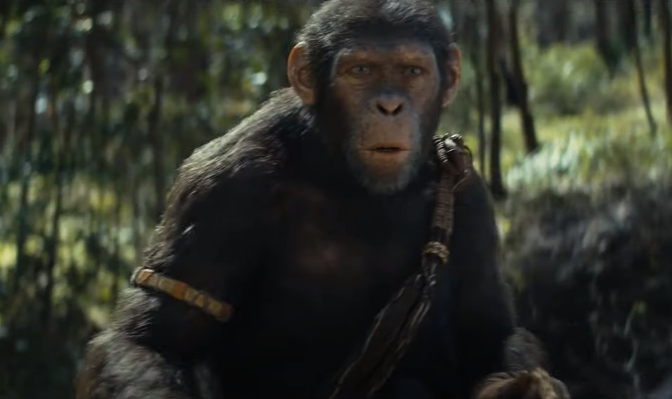 Les singes dominent la planète dans la bande-annonce de ˝La Planète des Singes : Le Nouveau Royaume˝