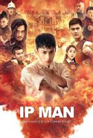 Affiche Ip Man : Naissance d'un combattant