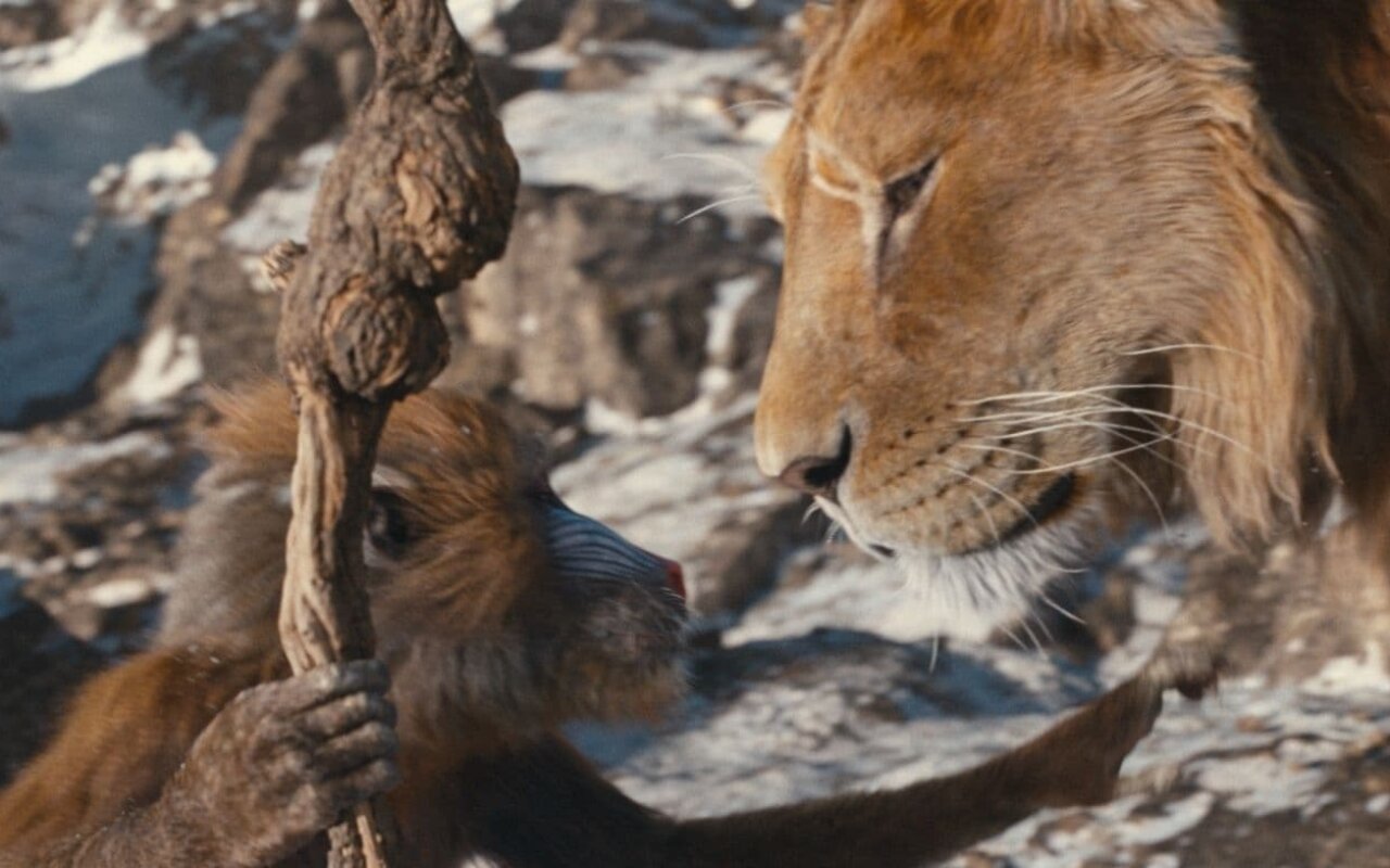 Mufasa : le roi lion streaming gratuit