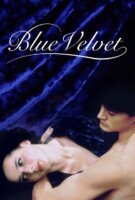 Affiche Blue Velvet