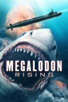 Affiche Meg Rising