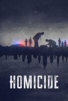 Fiche du film Homicide New York