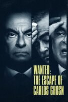 Fiche du film À la recherche de Carlos Ghosn